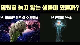 [Sub]평생 늙지않는 생물? 지구상 오래 사는 생물 TOP7!