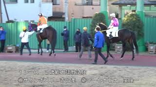 浦和競馬　令和4年第11回能力調教試験　2022/12/27