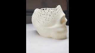 3D Printed Wireframe Skeleton Skull Timelapse