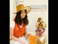 cute dog’s halloween celebration 2022