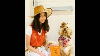 Cute dog’s halloween celebration 2022