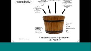 CME - Adverse Food Reactions and FODMAPs in Management of IBS - Patsy Catsos - 20150424 1616 1