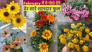 यह शानदार पोधे पूरे Terrace को फूलों से भर देंगे || Top Heavy Flowering Plants 2023