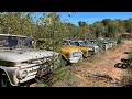 Baxter Huge Classic Junkyard Part 3 Trucks Trucks Trucks!