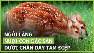 Ngôi làng nuôi con đặc sản dưới chân dãy Tam Điệp | VTC16