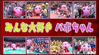 Volleyball Channel 2019年11月予告＆10月オンエアー未公開映像！