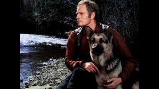 A vadon szava. Teljes Film Magyarul 1972 - Charlton Heston - Kalandfilm