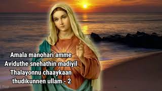 Amala Manohari Amme karaoke with lyrics | Christian Devotional Karaoke | Jesus Hold You