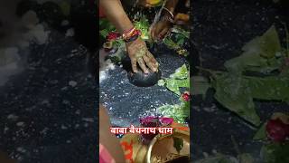 Babadham jyotirlinga darshan Deoghar