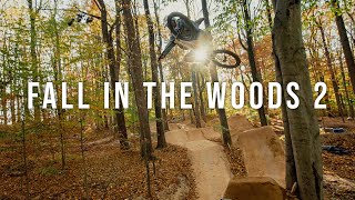 Peak Fall perfection - the ultimate season to ride east coast BMX trails.