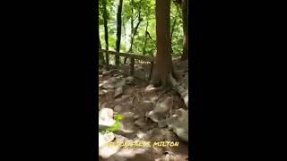 Hilton FALLS RESERVOIR conservation park |TORONTO Ontario