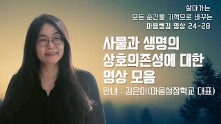 마음챙김명상 24-28. 상호의존성에 대한 명상 . 판단분별로 부터 자유롭게 되는 명상