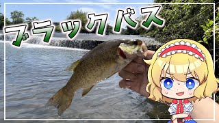 【ゆっくり実況】アリスちゃんはウナギが食べたかったようです【ゆっくり料理】