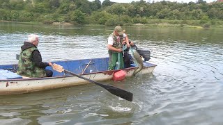 Ribarenje soma na Dunavu - Alasi sa Dunava kod Korbova | Fishing catfish