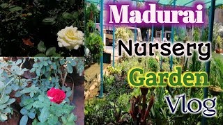 Madurai Nursery Garden Vlog | Madurai Nursery Visit and Review