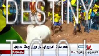 அவனியாபுரமே அதிரும் sp kumar annan maadu || karur vellayanஅவனியாபுரம் ஜல்லிக்கட்டு 2019 - new