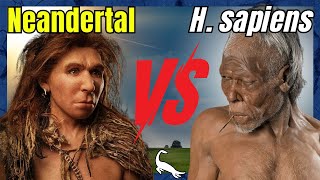 THE DAY HUMANS AND NEANDERTHALS MET