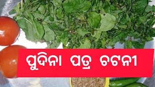 ପୁଦିନା ପତ୍ର ଚଟନୀ Mint leaves chateny recipe 😘 Pudina pata chatney