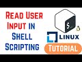 How do I read user input into a variable in Bash | Shell Scripting Tutorial for Beginners