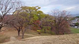 古室山古墳 Komuroyama burial mound