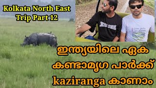 ലോകത്ത് ഏറ്റവും കൂടുതൽ കണ്ടാമൃഗങ്ങൾ ഉള്ള Kaziranga national park കാണാം.#assam