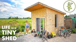 Woman Living in a 10' x 11' Shed Converted into a Budget Tiny House