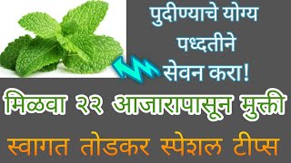 पुदिना खा तंदरुस्त रहा, याचे 22 फायदे माहीत आहेत काय?।medical benefits of mint leaf