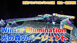 【イベント】国営アルプスあづみの公園　ウインターイルミネーション　～光の森のページェント2023～