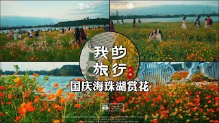 国庆广州海珠湖赏花：花畔塔影，大片花儿湖边绽放，秋日气氛浓