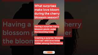 What surprises make love bloom during the cherry blossom season?