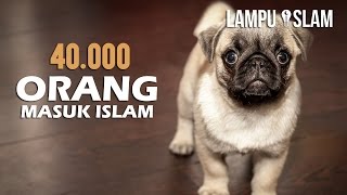 40.000 Orang Masuk Islam Melihat Tingkah Anjing Ini | Kisah Nyata