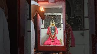 ಮಾದನೂರು ಶ್ರೀ ವಿಷ್ಣುತೀರ್ಥರ ದರ್ಶನ | Madanooru Sri Vishnuteerthara Darshana