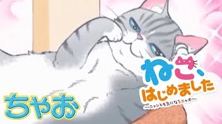 【ボイスコミック】『ねこ、はじめました』 第6話 はじめてのパトロール ★ちゃおの人気まんがを動画で！★【まんが動画】