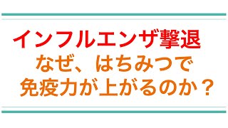 なぜ、ハチミツを飲むと免疫力が上がるのか？