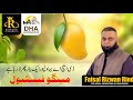 DHA BAHAWALPUR | Organised Mango Festival | 21•22 July 2024 | Royal Properties-03018685076