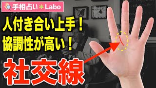 【手相占い】社交線とは？【サクッと解説】