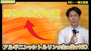 男性の活力の源、アルギニンやシトルリンから作られる一酸化窒素「NO」について話してみた【薬剤師が解説】