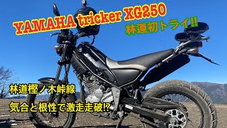 第壱回【林道へ行こう!!】YAMAHA trickerXG250購入!!そのままオフロード走行へ🗻林道樫ノ木峠線と一本杉峠線