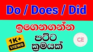 English grammar lessons in Sinhala|How to use Do,Does,Did | Practical English #easyenglish #spoken