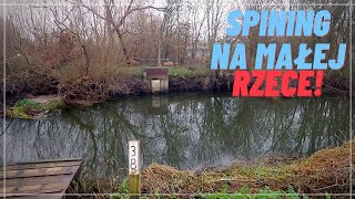 Spining na malej rzece! Czy uda złowić się szczupaka? JAK ZŁOWIĆ SZCZUPAKA?