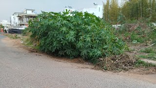 私が今まで出会った中で最も険しい歩道を近所の人たちは歩く場所がなかった