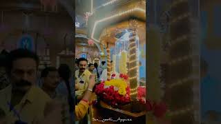 mahe palli whsatpp status video 2022....st theresa's shrine mahe / mahe palli ✨️💛