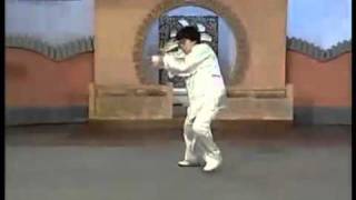 Sun Jianyun Baguazhang