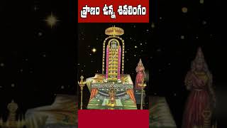 ప్రాణం ఉన్న శివలింగం ఎక్కడ ఉంది Pranam unna #shivalingam ekkada undi @trendytelugu1