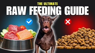 The Best Raw Food Diet For Dogs (Beginner Friendly)