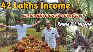 42 lakhs income 🌴🌴Palm oil tree cultivation in Tamil Nadu | பாமாயில் மரம் வளர்ப்பு