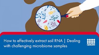 How to effectively extract soil RNA | Dealing with challenging microbiome samples #2