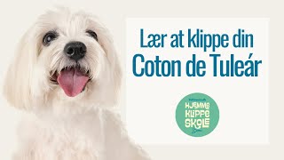 hundetrimmer til bomuldshund hundetrimmer til bomuldshund