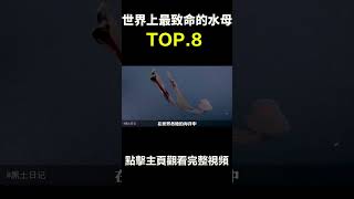 世界上最致命的水母TOP8：冥河水母！#世界之最 #科普