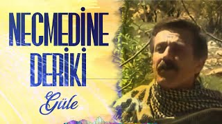 Necmedine Deriki - Güle